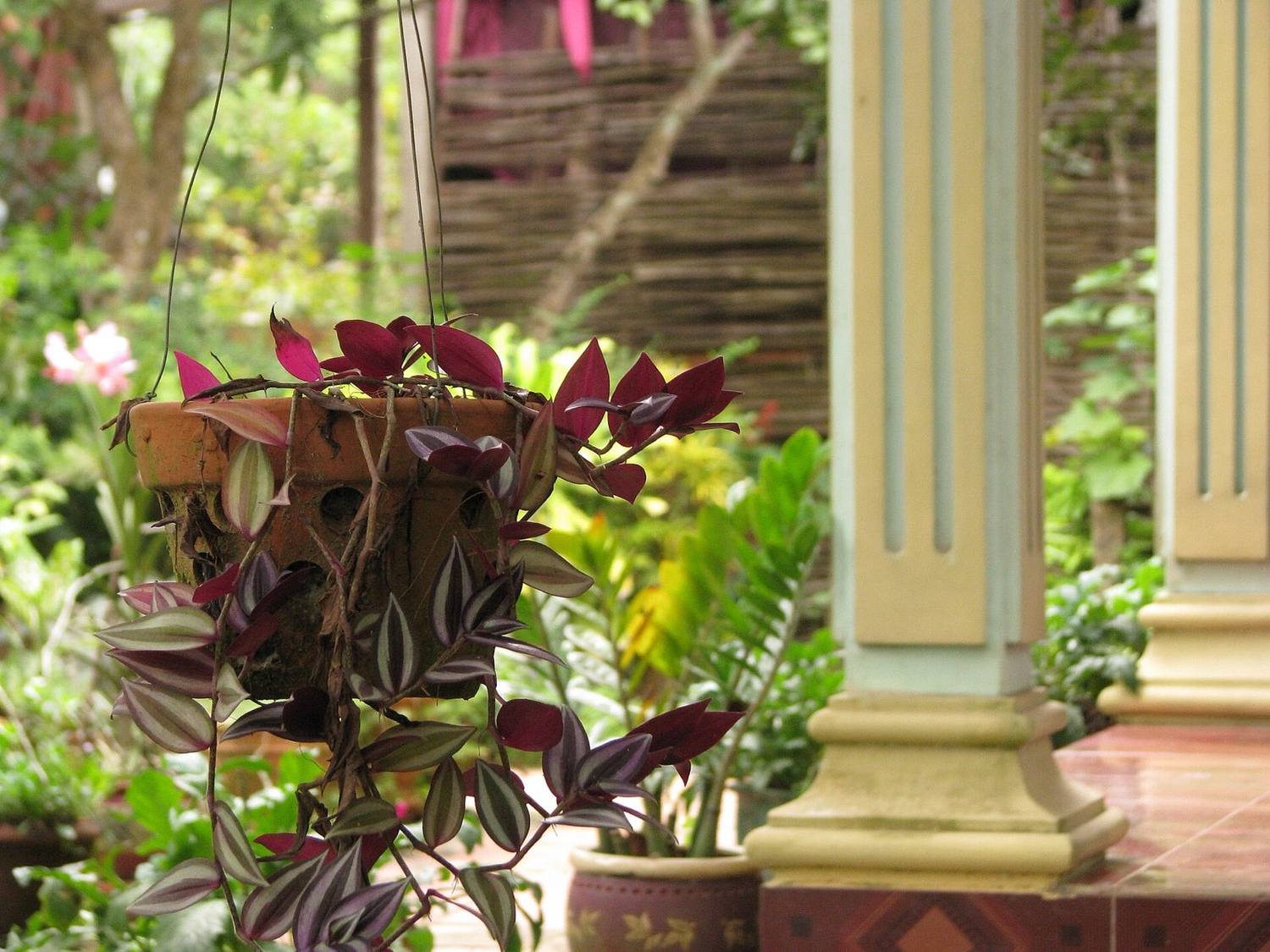 A simple Mekong Delta homestay building beside a canal